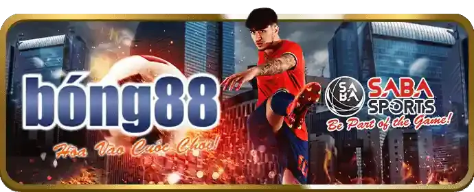 Đặt cược và quay